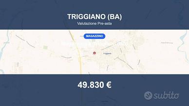 Immobile in asta di 359 m² con più di 5 locali a T