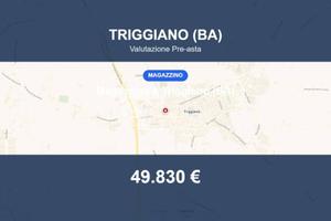 Immobile in asta di 359 m² con più di 5 locali a T
