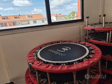 24 trampolini elastici da fitness Coalsport