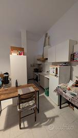 Ampio ed arredato monolocale