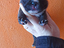 Immagine 1