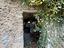 Immagine 7