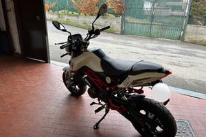 Benelli TNT 125