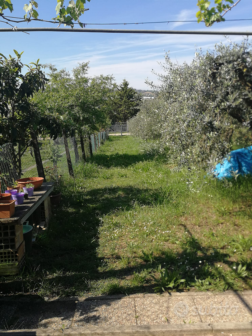 Terreno agricolo - Vista 2