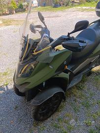 Quadro qv3 anno 2019