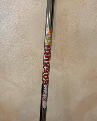 Canna da pesca fissa carbonio elastico carpe 4-5m