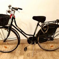 Bicicletta per amatori dello stile vintage