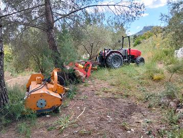 TRATTORE SAME 3 65 CV +ATTREZZI AGRICOLI PERFETTI