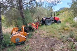 TRATTORE SAME 3 65 CV +ATTREZZI AGRICOLI PERFETTI