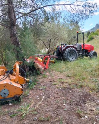 TRATTORE SAME 3 65 CV +ATTREZZI AGRICOLI PERFETTI
