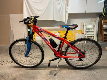 Bicicletta torpedo