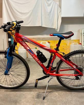 Bicicletta torpedo