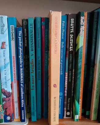 Libri per l' infanzia