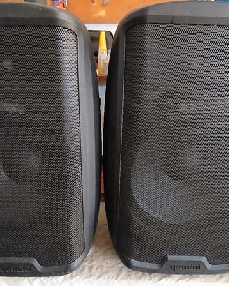casse amplificate gemini as 2115 p