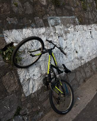 bici mtb montana crx