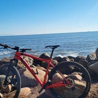 MTB Wilier Triestina 101x 