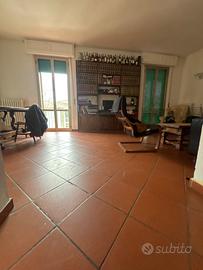 Stanza doppia zona San Donato universita