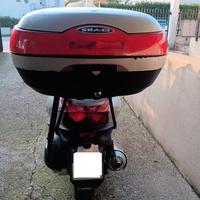 Kymco Grand Dink 250 - 2005