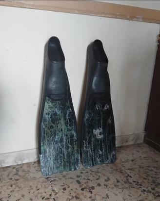 pinne apnea Omer camo