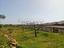 Immagine 14
