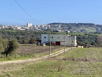 Soluzione Indipendente in Contrada Guirro