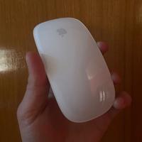 Magic Mouse 1