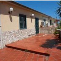 RGE 83/2018 Trib Patti