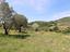 Immagine 29