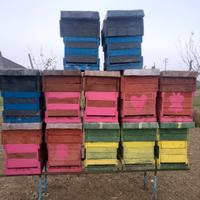 Cassette apicoltura artigianali