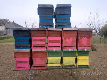 Cassette apicoltura artigianali