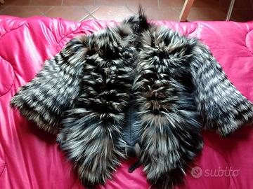 La pelliccia di cincillà.