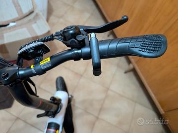 Bicicletta elettrica 
