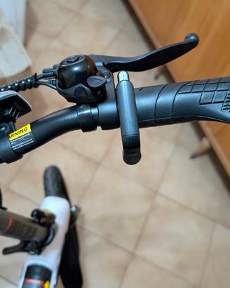 Bicicletta elettrica 