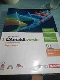 L amaldi.verde primo volume 