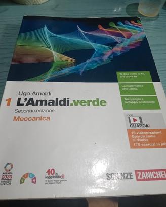L amaldi.verde primo volume 