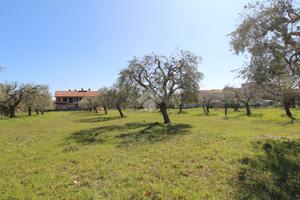 TER. RESIDENZIALE A CAMPLI