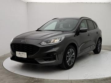 Musata e porte ford kuga
