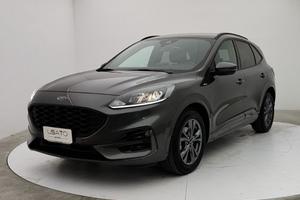 Musata e porte ford kuga