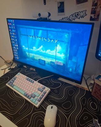monitor aoc 1440p 240hz IPS