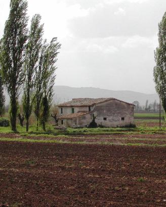 Rustico / Casale di 200 m² a Cannara