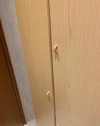 Armadio portatutto  € 20