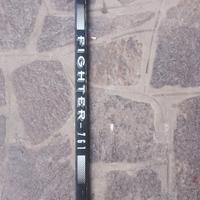 Stecca hockey ghiaccio.