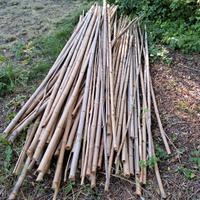 20 canne bamboo da 2 m circa