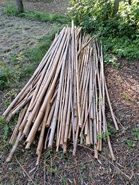 20 canne bamboo da 2 m circa