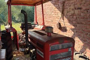 trattore Carraro 504
