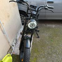 bici elettrica 1000w