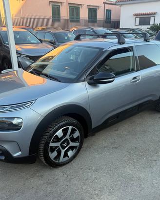 Citroen C4 Cactus BlueHDi 100 Shine Perfetta