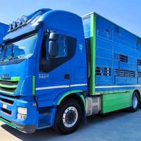 IVECO - AS260S56Y/PS TRASPORTO ANIMALI