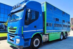 IVECO - AS260S56Y/PS TRASPORTO ANIMALI