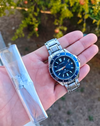 Citizen Promaster Eco-Drive BN0191-80L